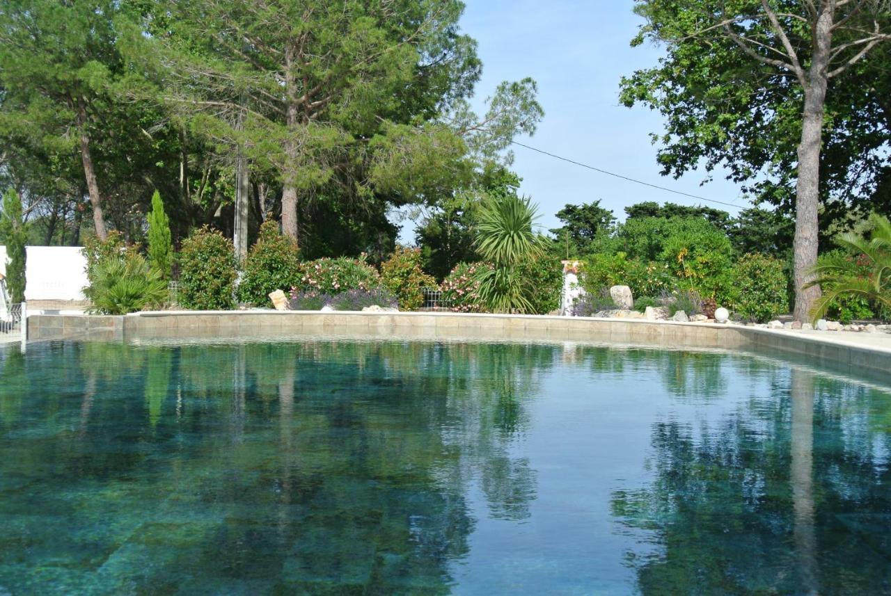 Grand Tamaris Hosting Bed & Breakfast Arles Exterior foto